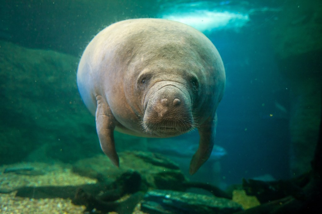 Tenho mentido ao meu filho há 24 anos — a mentira tomou conta da minha vida