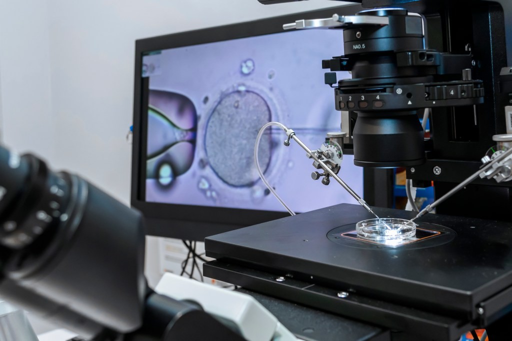 Wie Shugoshin 1 die Chromosomen stabilisiert und die Abnormalität senkt