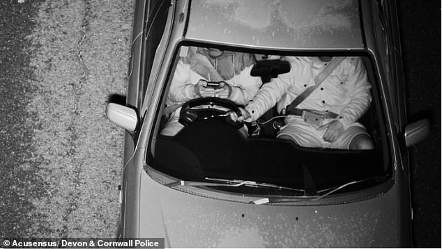 Bezpieczeństwo na drogach i innowacje w ochronie od ANCAP po CatClaw