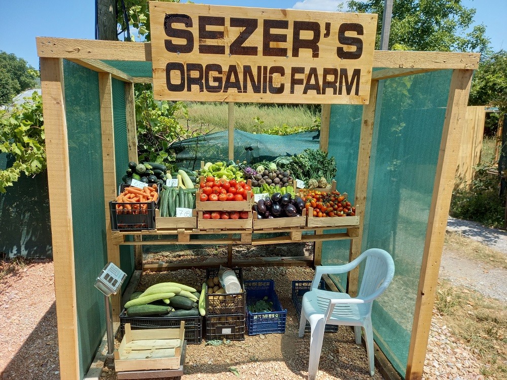 Од живот во туристички метеж кон бавен, смирен и исполнет живот