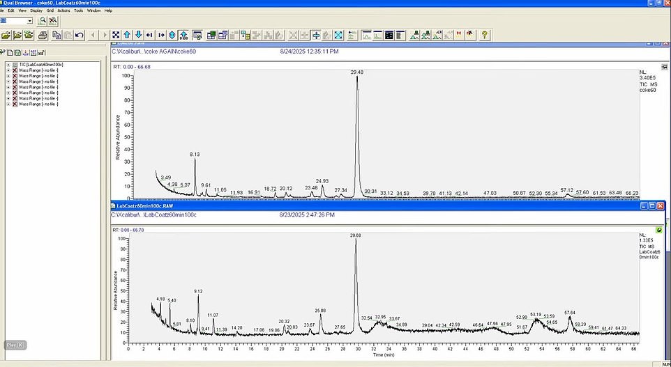 El producto final y la viabilidad de producción casera