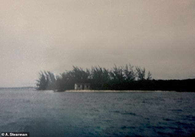 Урнатините на еден сон: Детално сведоштво за киднапирањето и осумчасовното силување на Алиша Стиерман