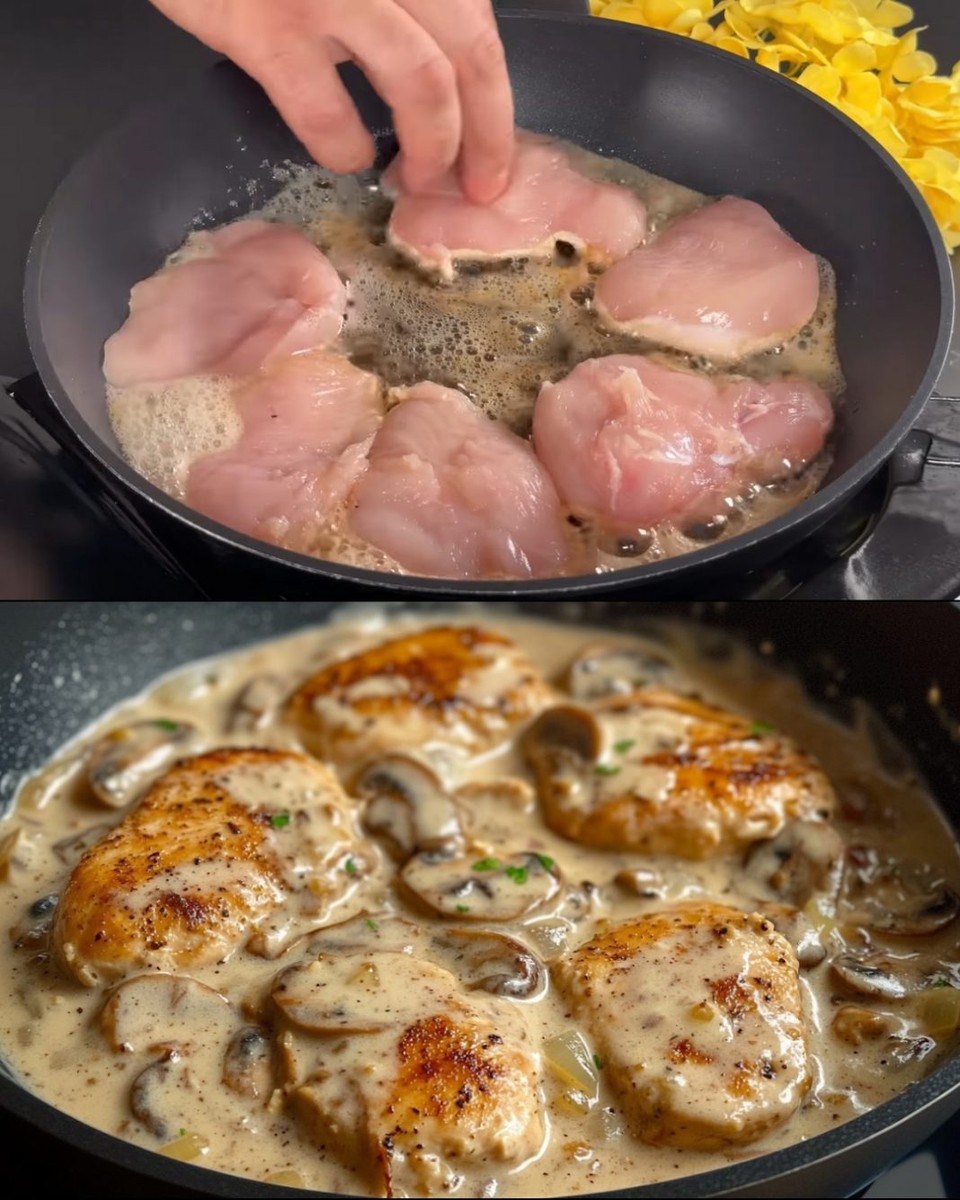 Пилешко со печурки што ќе ве освои – Неверојатно вкусно и лесно