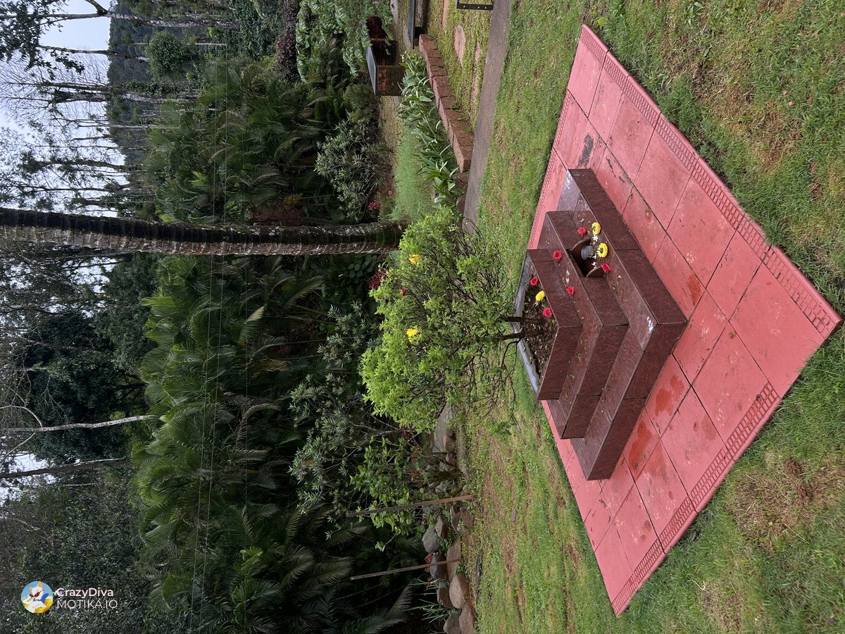 Тулси (свет босилек) – Традиционална билка што се продава како дел од ритуал за здравје и спокојство