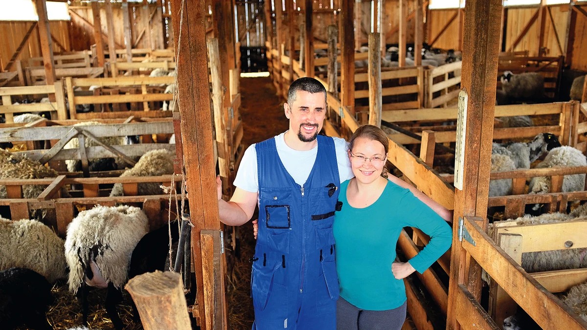 Седум години во Финска: работа, студии, три деца родени во снегот и дилемата каде е вистинскиот дом