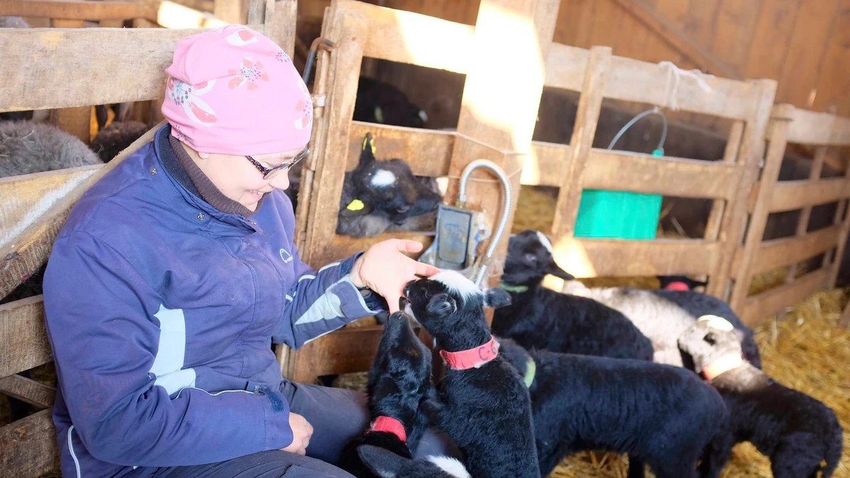 „Проектот“ станува дом – пет куќи, пријателства, универзитет и идејата што се раѓа од обична желба: да се биде поблиску до природа