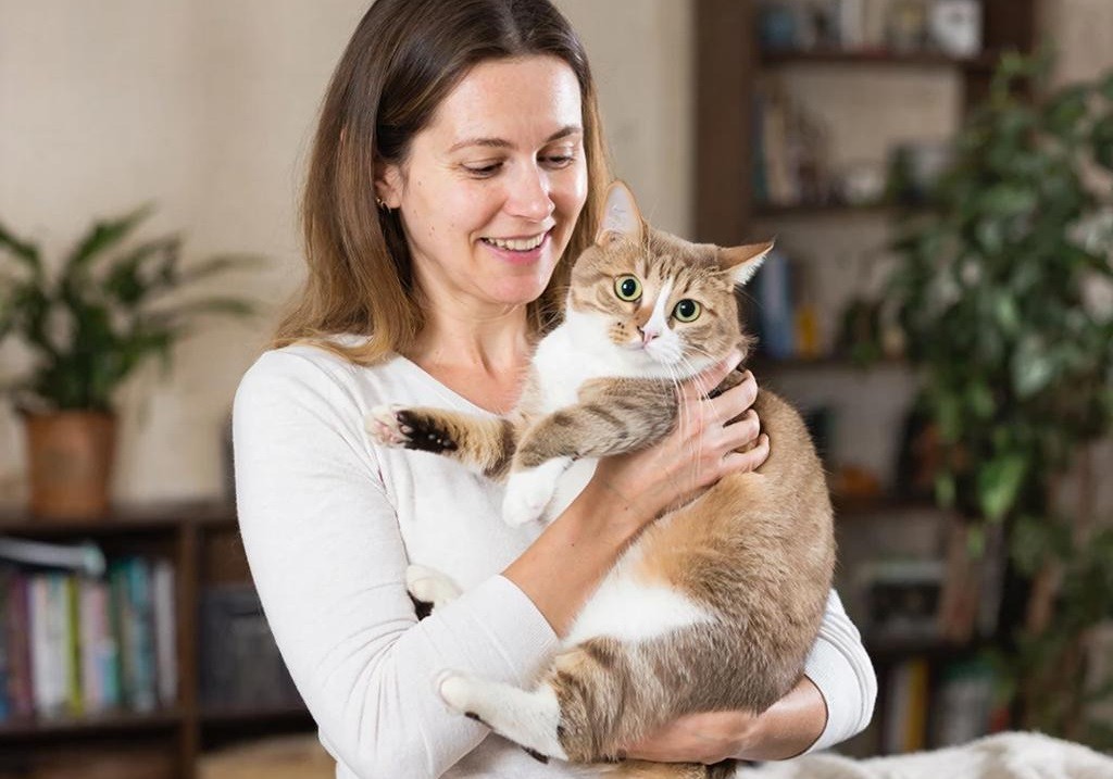 Lost Cat Makes a 250-Kilometer Homecoming