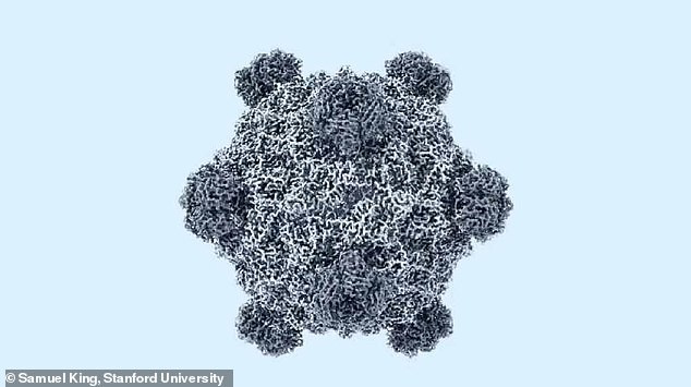 AI Evo2: 285 New Viruses From Scratch, 16 Target E. coli, 25% Faster