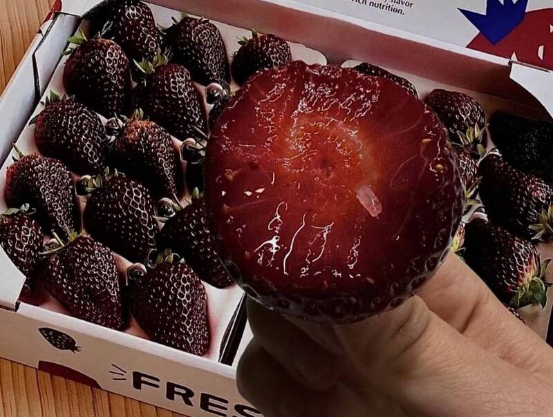 The Dark Color Comes From High Anthocyanin Content