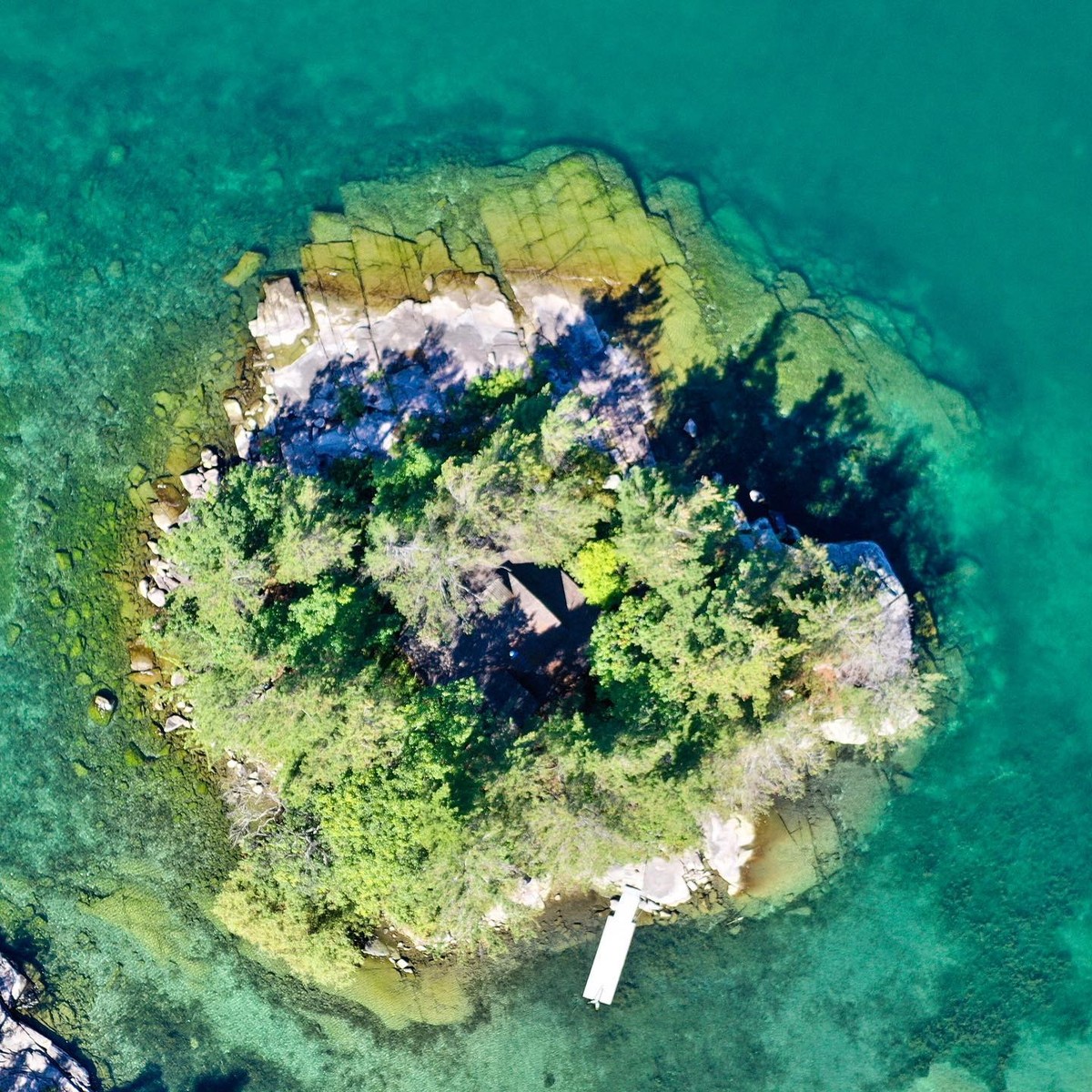 Островот Little Dochet: Една соба од дрво, без струја, вода и тоалет на средина од шумата