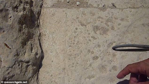 Дали пирамидите се постари од човештвото како што го знаеме – шокантна нова студија тврди дека Големата пирамида во Гиза е изградена пред 25,000 години од изгубена цивилизација