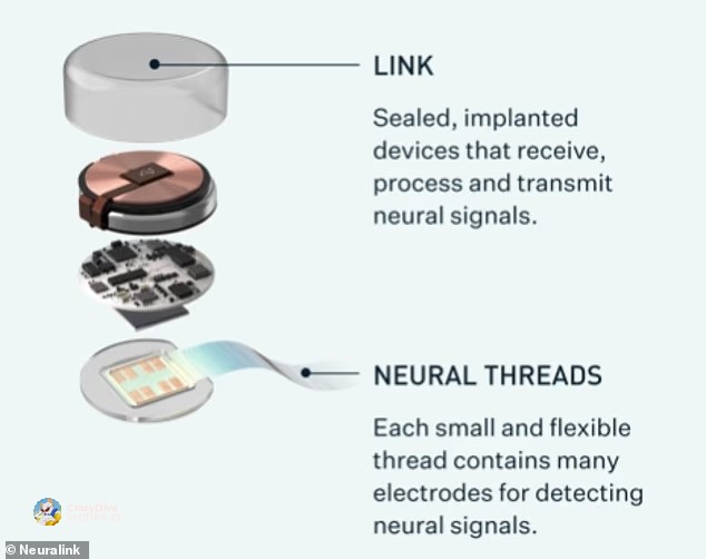 Магијата на Neuralink: Пациентот со мисла движи курсор на екран