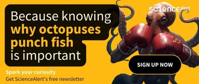 Wyniki i różne typy agresji