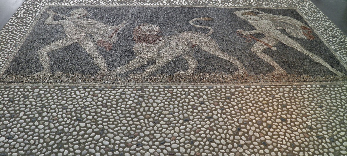 Европскиот/Евроазискиот лав: разновидноста на подвидови и научните толкувања