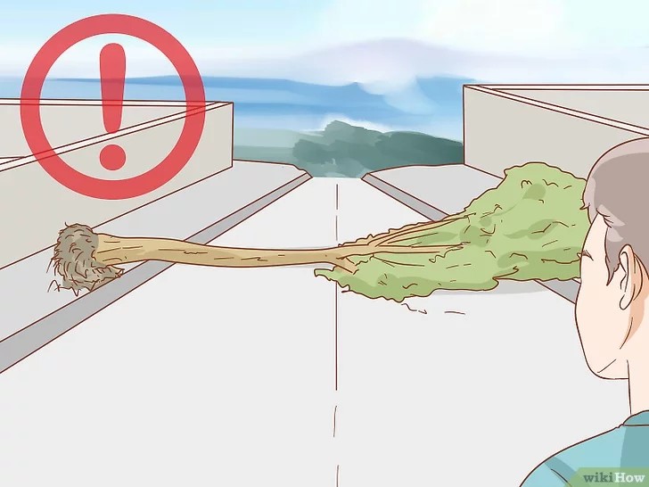 Доколку си во АВТОМОБИЛ запрете внимателно, не под мостови или далноводи – останете внатре додека заврши тресењето