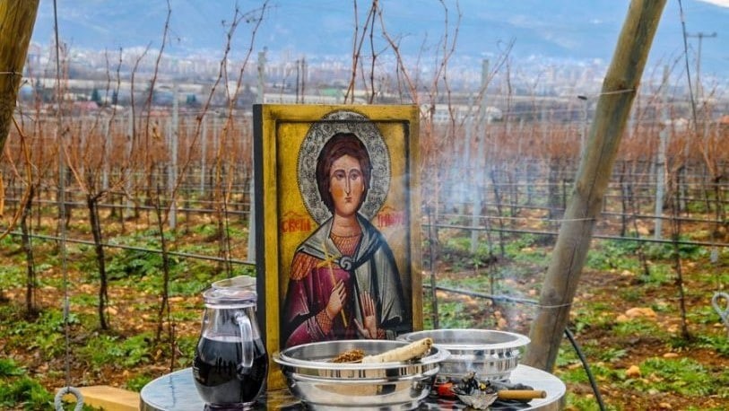 Кое било сиромашното момче Свети Трифун и зошто денес го славиме неговото име?