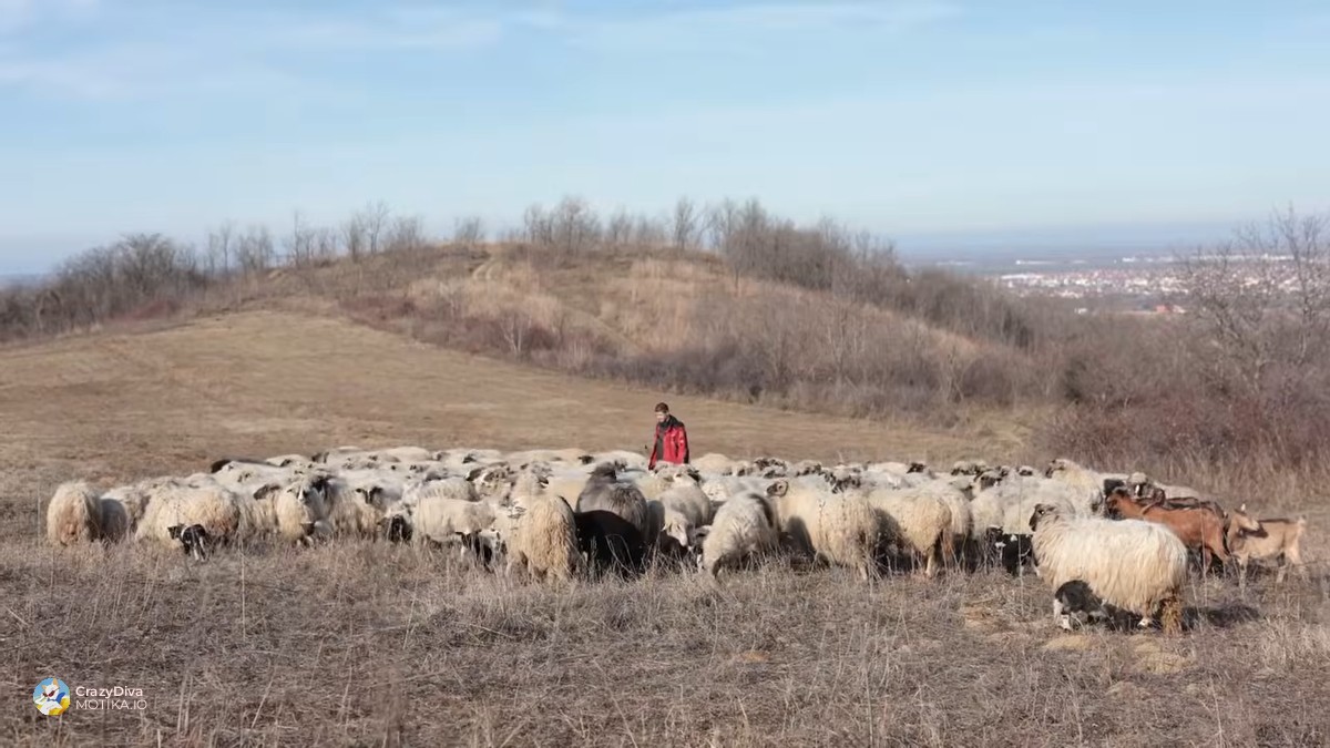 Шаторот од камионска церада и волненото ќебе се најголемото богатство во студените ноќи