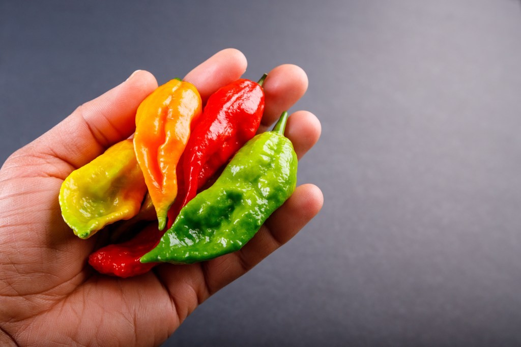 Колку и да сака луто, Фијери одбива да јаде ghost pepper — „ќе ми ја изедат душата“