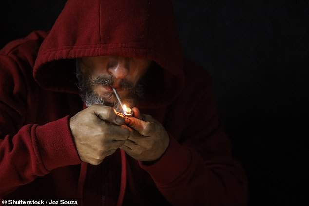 Зелените предлагаат директно партнерство меѓу Владата и јужноамериканските нарко-картели за одржливо снабдување со кокаин