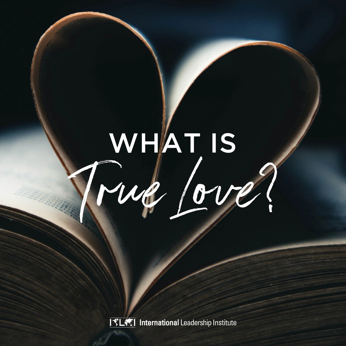 Како да ја пронајдеш вистинската љубов? Франческа Хоги 12 години истражува на оваа тема и еве го начинот