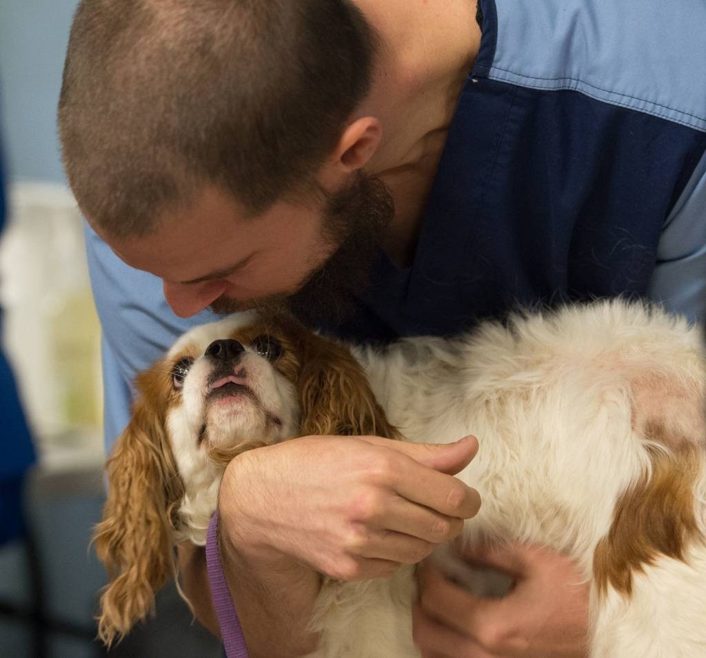 Две третини од сопствениците на кучиња и една третина на мачки трошат до 200 долари месечно за храна, негувaње и ветеринари