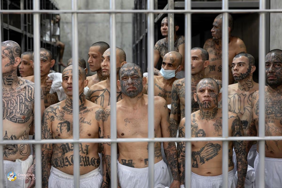 MS-13 – транснационална улична банда