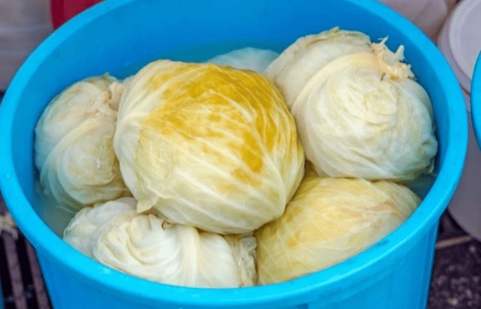 Главни причини за расипување на киселата зелка