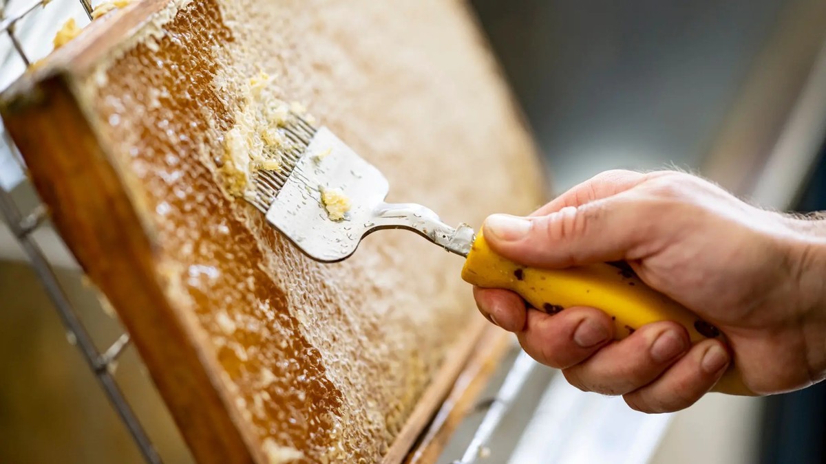 Лажниот мед на полиците: како се разредува „слаткото злато“, а купувачите не можат да го препознаат