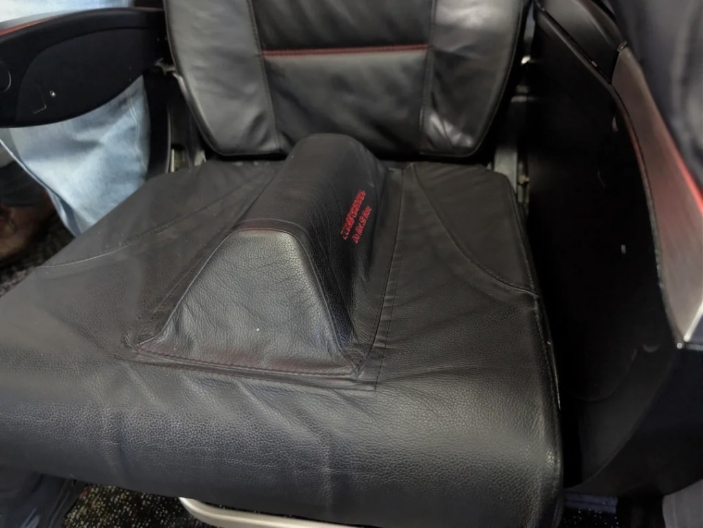 Седиште на авион „Разделувач на образи 9000“ ги шокира патниците: Дали ова е иднината на патувањата?