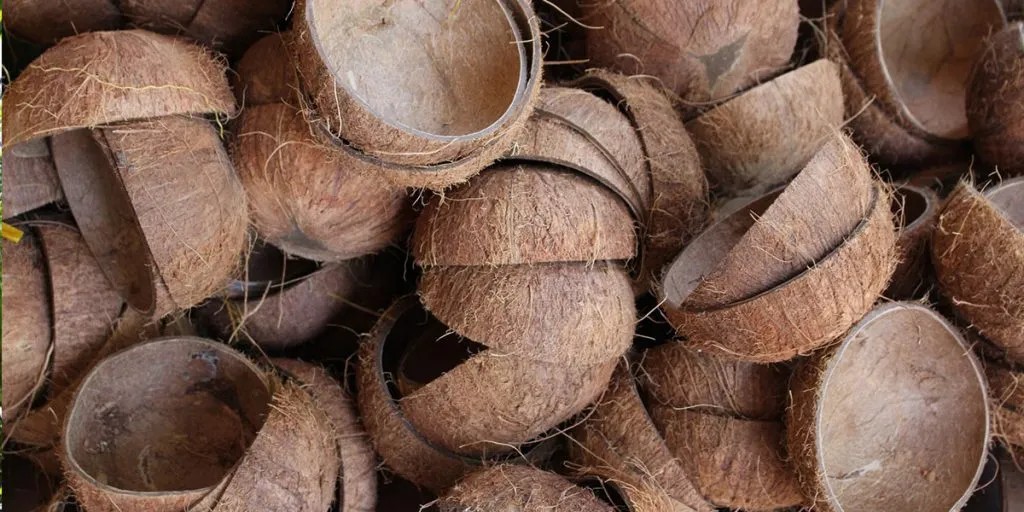 Осум идеи од млади иноватори кои го претвораат отпадот во пари