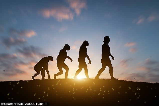 Големите празнини во фосилниот запис ги доведуваат во прашање теоријата на еволуцијата