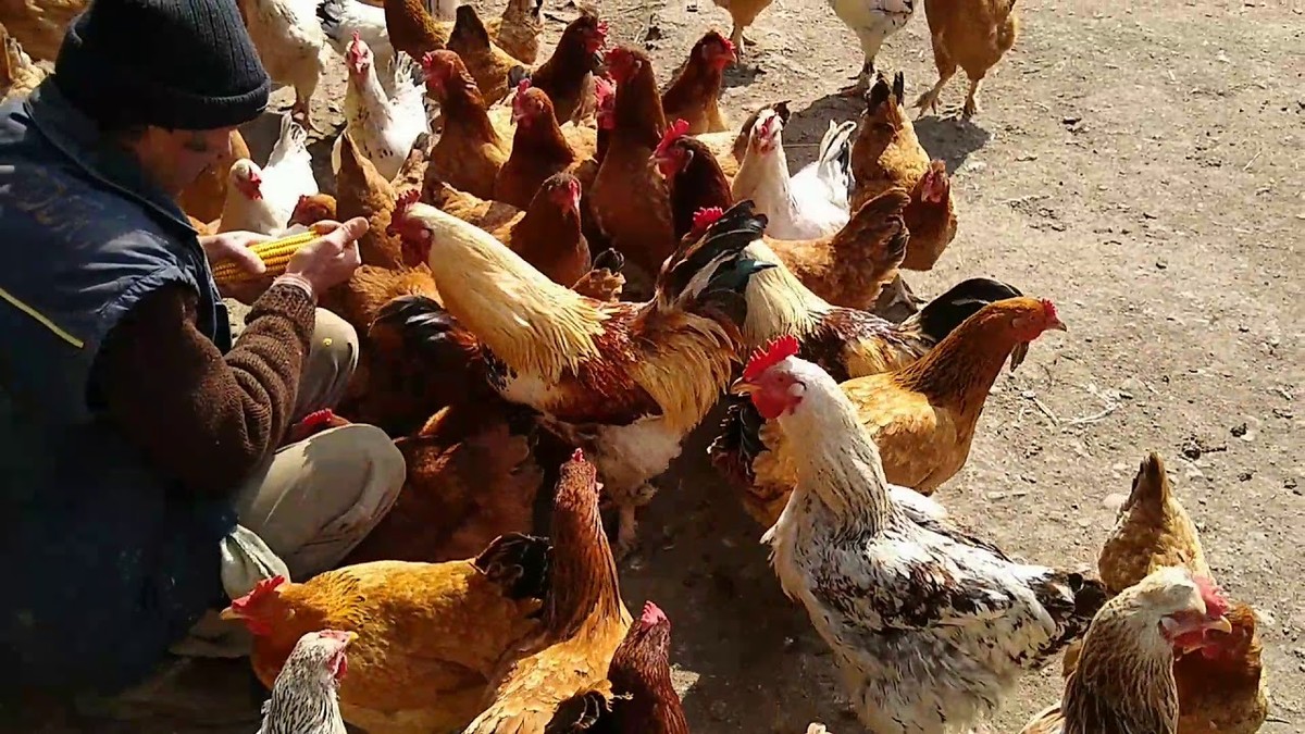 30 години низ светот и на крајот живот во Лас Вегас што требал да трае засекогаш