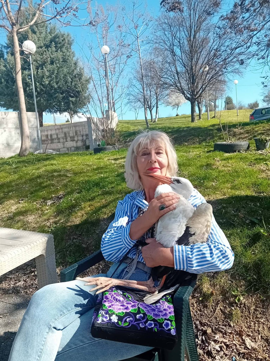 Трите штрка ја чекаат среќата и љубовта додека се опоравуваат за враќање во природата