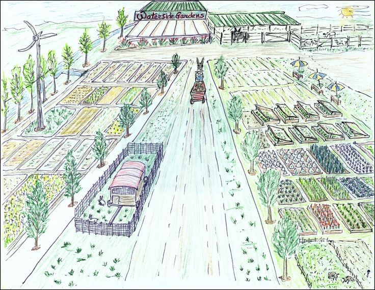 Маришите на Париз: генијалци кои решиле урбан проблем без замисла за индустрија