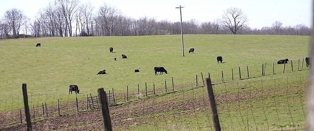 Ќерката Далсија Бар ги одбива 22,2 милиони долари за 187 хектари земја: Тајноста зад проектот предизвикува страв