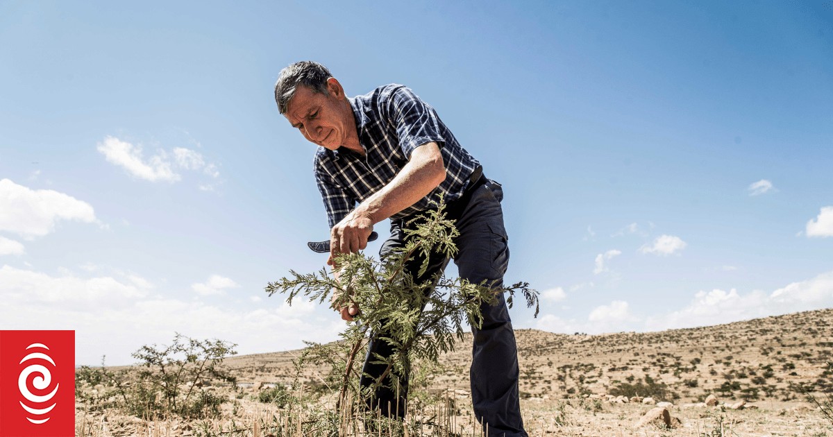 Во 1981 година Тони и Лиз пристигнале во Нигер сред пустош и глад
