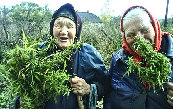 Ракијата не е решение за здравје, туку одраз на митолошка балканска традиција