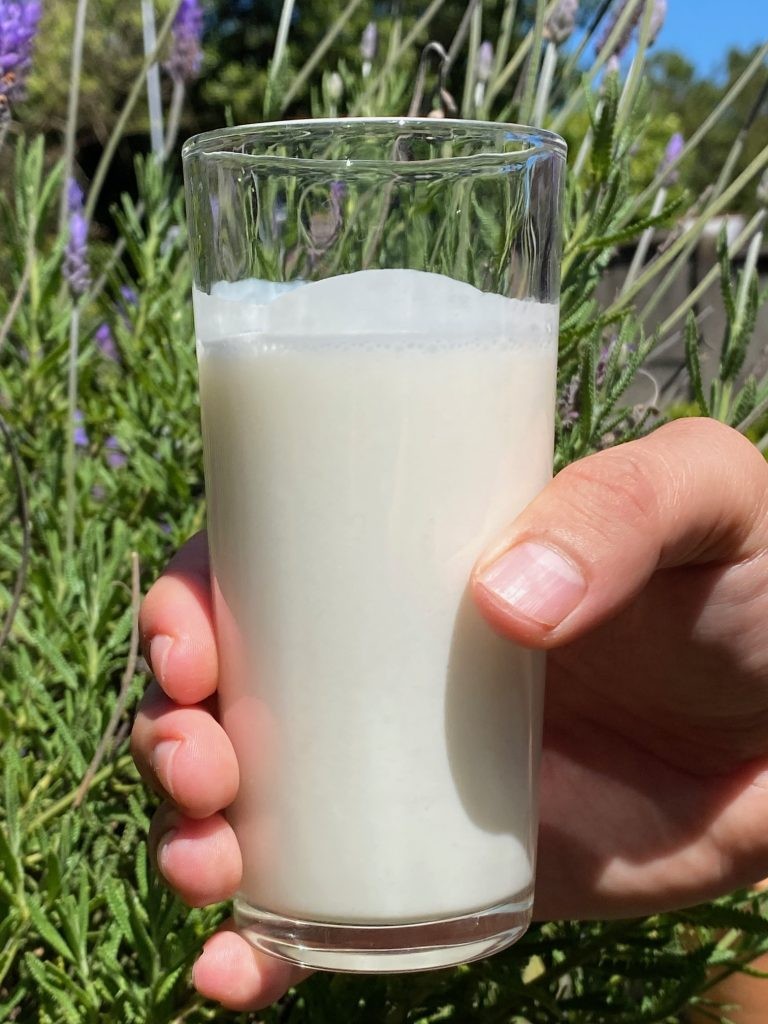 70% од вашиот имунитет се крие во цревата и зависи од храната која ја јадете секој ден