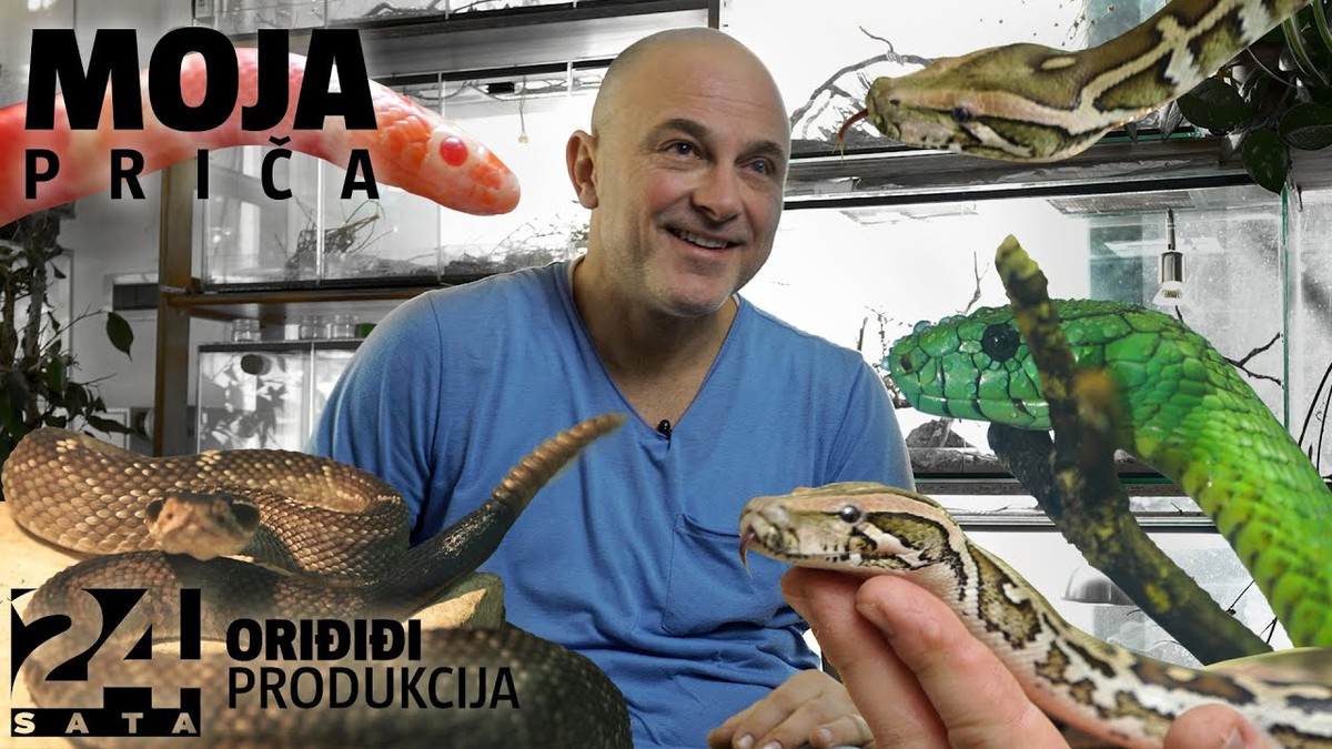 Невен од Загреб живее со 150 змии, двапати го каснала отровна — противотров нема