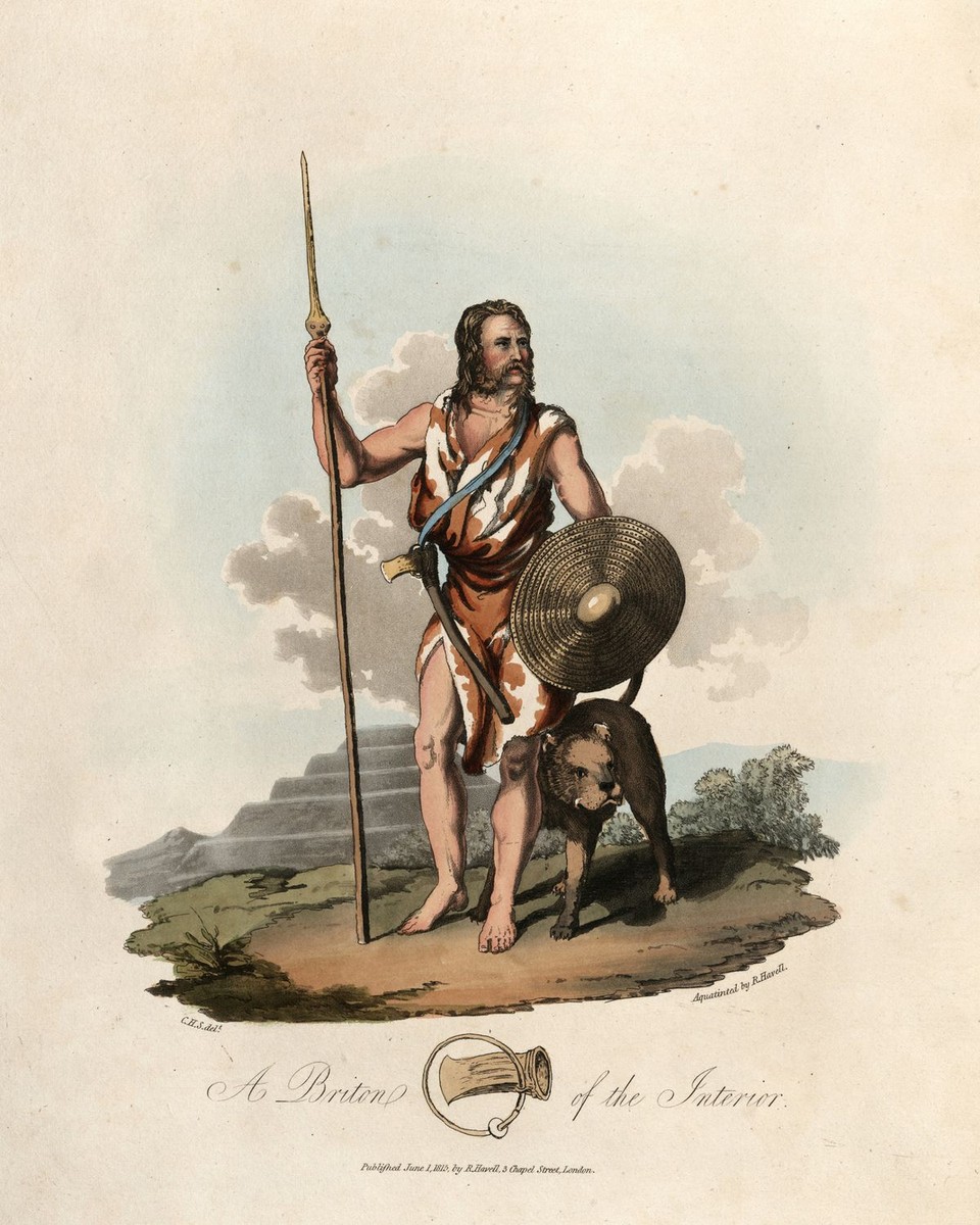 Откритието во Англија го урива досегашното знаење за најстарите кучиња – овие коски се постари од сите до сега