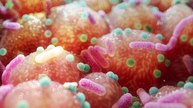 Неочекувано едноставен начин за борба со Паркинсон: Дали бактериите од цревата и витамините Б се клучот кој ќе промени сѐ?