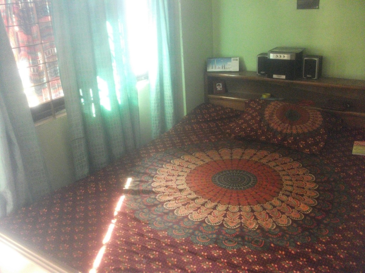 Одржлив ефект: DiscoverEU ја поттикнува самостојноста на младите, туризмот и еко-свесната иднина на Европа