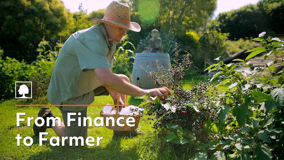 Градинарење на мал простор и запознавање со пермакултурата се почетните чекори