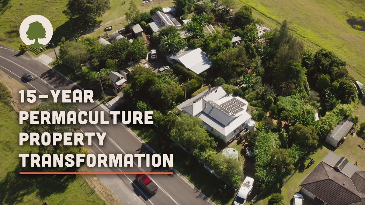 По петнаесет години фармата Лајмстон станува вистинска пермакултурна заедница и симбол на здравје