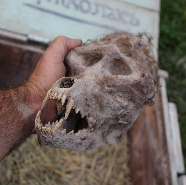 Мистеријата за врколаците низ историјата: Страшни искази и пронајдениот череп во Македонија кои го шокирале светот