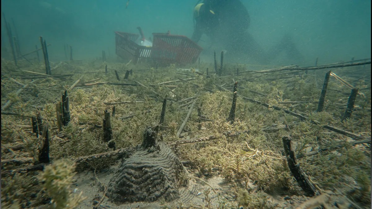 Најстарото село во Европа од пред 8000 години се наоѓа некаде на Балканот. Можете ли да погодите каде?