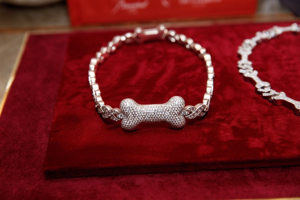 Богатите сопственици на кучиња трошат до 140.000 евра на огрлици со дијаманти и рубини за нивните разгалени миленици