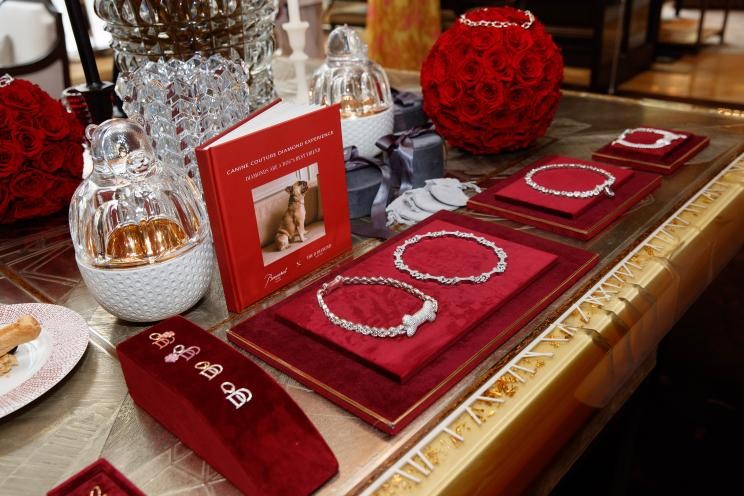 Луксузна понуда за разгалени кучиња: жThe D Diamond и Baccarat Hotel создаваат ексклузивни огрлици со единствен дизајн и цена до 140.000 евра