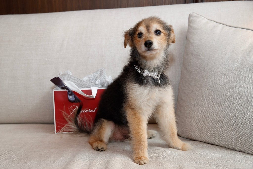 Само за избрани: Ограничен пристап, персонализирани детали и рубин за секој гостин на Baccarat