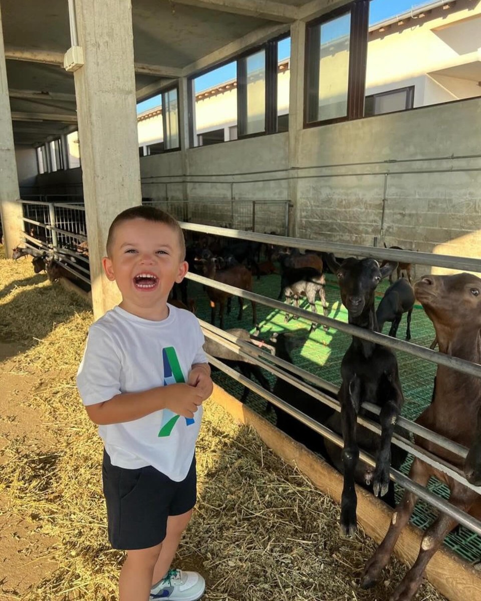 Сè е нивно: фарма, сушара, млекара и свежи деликатеси секој ден